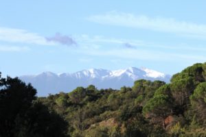 Exposition Anthony Duff : "Après le feu" / "After the Fire" @ Cave du Mon,t Tauch | Tuchan | Occitanie | France